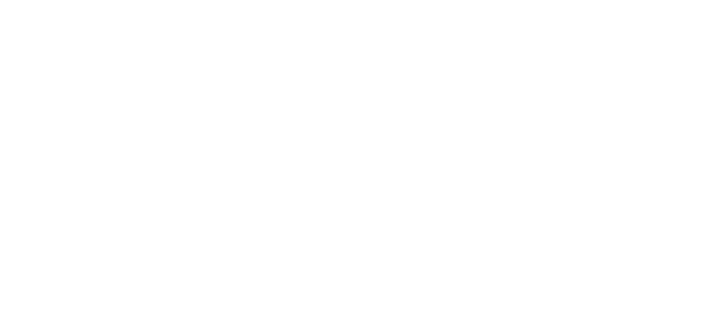 Mi San Isidro